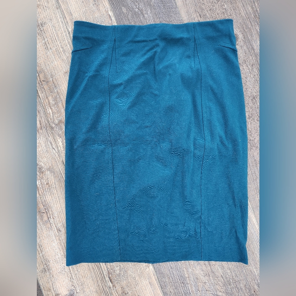 Ann Taylor Pencil Skirt
